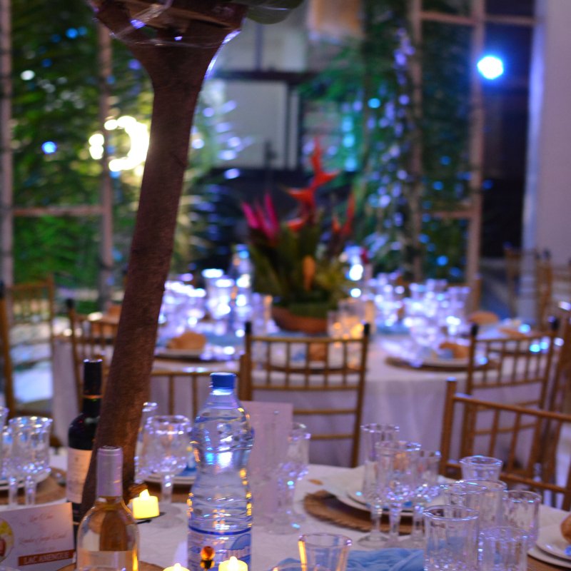 dcoration-salle-mariage-tropical 1